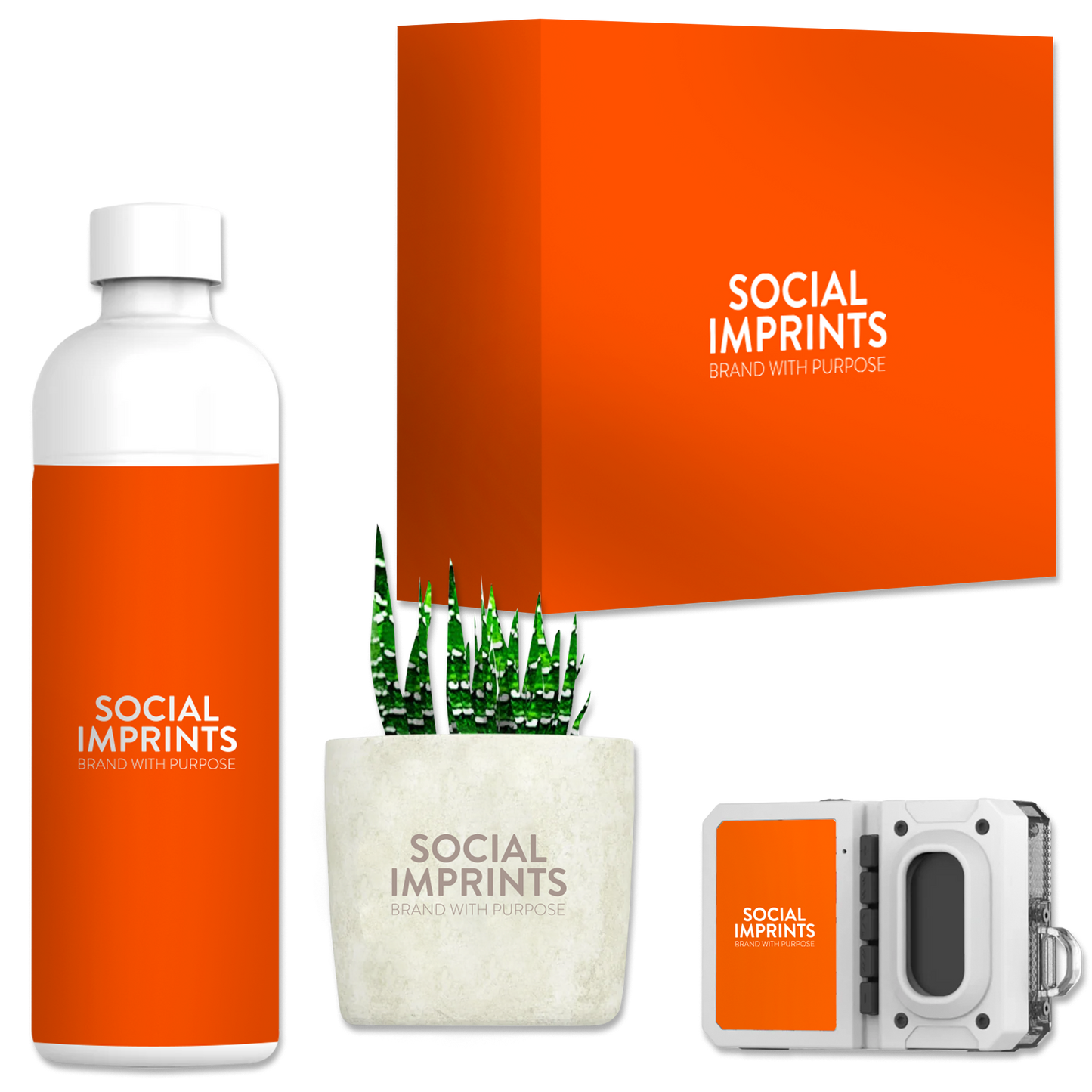 Sound and Grow Kit
